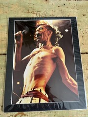 Vintage Mick Jagger Photo Print 1975 Annie Leibovitz Rolling Stones Music Art