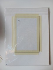 Iris Tulip Daffodil Signed Photo In Mat Soft Focus 12×9 Inches