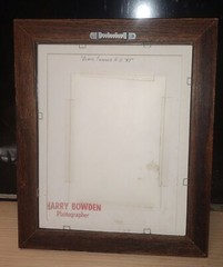 Signed Harry Bowden Black Chinned Hummingbird Photo 87′ Framed And Matted 10×8