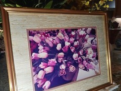 21×17 Vintage Art Photograph TULIPS BY JULIAN E. CARABALLO