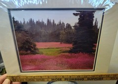Don Schimmel Signed Numbered Photo 307/950 Photography Art “Fireweed Alaska”