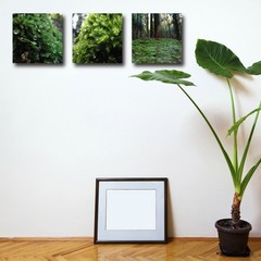 Scenic Photography Art Panel 3pc Set 30cm Fabric Japan
