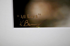 Deer Wildlife Photo 8″ x 10″ in 11″ x 14″ White Matte Signed by Kim Barry