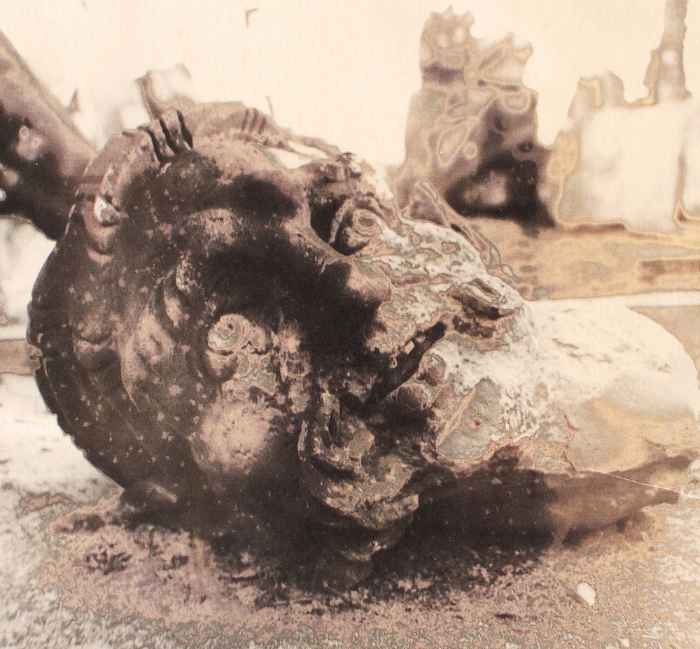 Andreas Hoferick Fragment Sculpture Portrait of Man Signed Photograph Print 2001