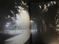 Daido MORIYAMA Photo Book HAWAII 2007 JAPAN super rare very good