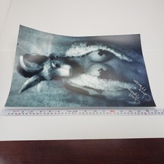 Signed Jenna Manson Horror Photography 11 X 17 BLACK AND WHITE BUNNY