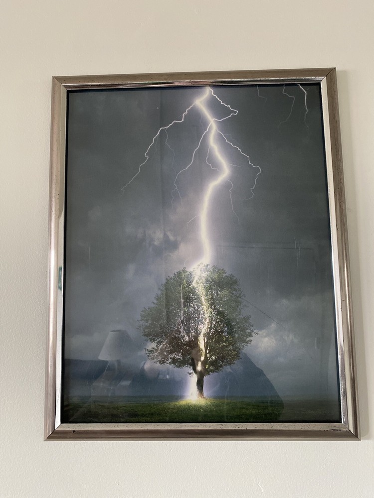 Lightning Striking Tree Pic in Silver Frame 17” x 21”