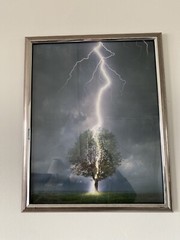 Lightning Striking Tree Pic in Silver Frame 17” x 21”
