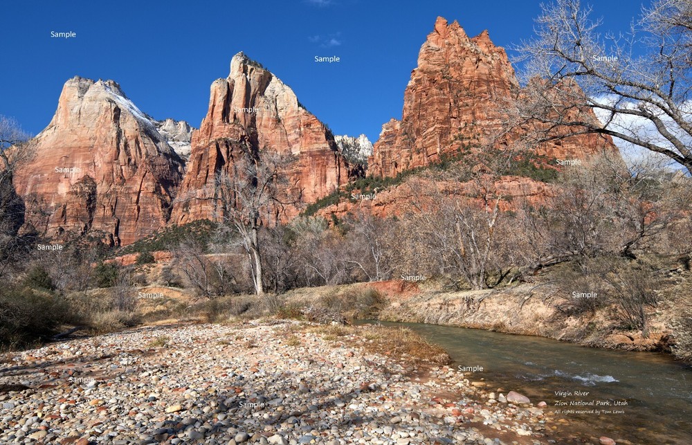Zion National Park Virgin River Utah #13 Red Rock Canyon Poster Photo Print ZP26