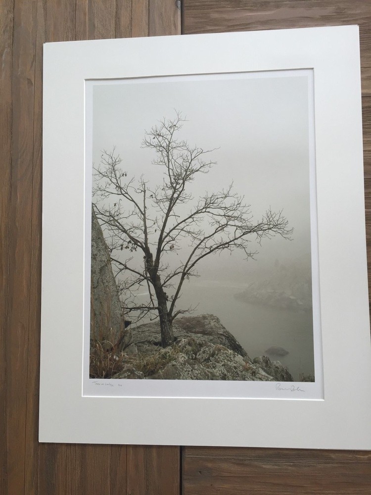 BRUCE BLUM SIGNED SEPIA Photo Print (19″X 24 «)-«Tree on Ledge»