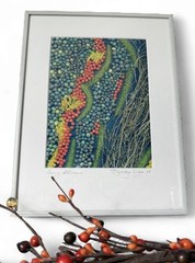 Signed Framed Botanical Berry Photograph Nature Wall Art Modern Colorful