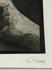 Jim Fitzgerald Driftwood Oregon Coast Signed Photograph Carbon Transfer