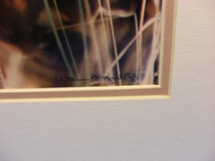 Warren Magill «Short Earred Owl» LTD ED Signed Color Photograph