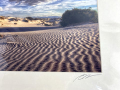 Professional Photograph Art Print White Sands, NM Matted Signed