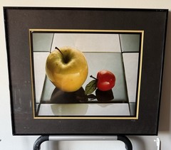 Robert Allen Merlo Signed Photograph «Still Life» Vintage Framed Art 20″ Wide