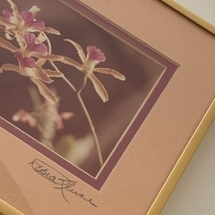 Original Photo Pink Orchid Signed & Framed Estate 1981