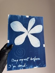 Botanical Cyanotype Print | Handmade Blue Sun Print | Fine Art Photography 20×30