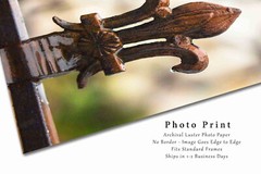 Fleur de Lis Photography Print: Louisiana French Quarter New Orleans Photo
