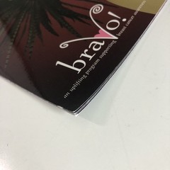 Lifebridge BRAVO 2008 Calender Art Bra Breast Cancer Awareness Avant Garde