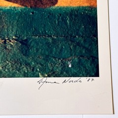 ANNE NORDA UNTITLED 1987 HAND SIGNED DATED COLOR KODAK GLOSSY PHOTOGRAPH