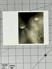 Gary Schneider (b. 1954) Art Announcement Card- Botanicals – 2001 Chicago