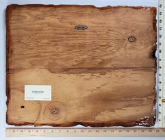 VTG 1970s Era Wooden Resin PLAQUE Photo Glacier National Park 20″x16″ Logan Pass