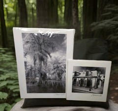 New Orleans Bourbon Street Swamp Spanish Moss Creepy Eerie Signed Art Prints Vtg