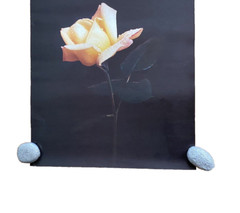 Large Yellow Flower Art Print Original Vintage 1980’s 16″X 21″