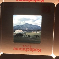 1980’s Amateur 35mm Slide Lot Of 40 Summer Camp Wedding European Vacation