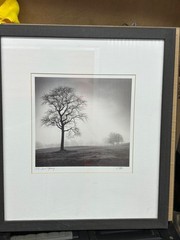 Richard Calvo ‘In Just Spring’ Framed Black & White Landscape Tree Photograph