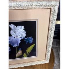 A. Bush Purple Irises Floral Art Print Photography Framed 15.5″ EUC GIFT Decor