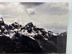 Russ Kerr Majesty Of Birds Wild Life Photographer Grand Teton National Park
