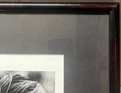 Original CLEMENS KALISCHER ‘Sarkej, India’ GIRL w 4 Boys SIGNED Gelatin PHOTO