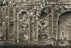 1953 Vintage Print JOSEF SUDEK ~ TROJA CASTLE Gardens Sculpture Photo Art 11X14