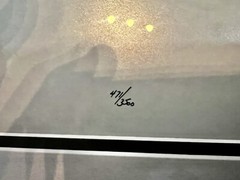 Thomas D. Mangelsen Signed Polar Bear Limited Edition 471/3500 Photograph Art