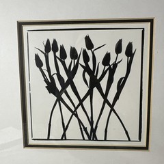 “Tulipes” by Regis D’Audeville French Photographer and Artist 1996