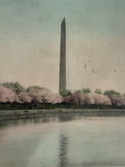Antique Wallace Nutting Hand Colored Photo set c:1920 + Cherry Blossoms DC pic