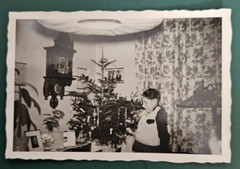 Boy Has Christmas Present In Living Room Christmas Tree (9×6) Original Photo
