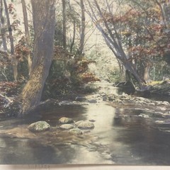 AQ Fred Thompson “Woodland Symphony” Original Hand Tinted Photograph Signed 7×9”