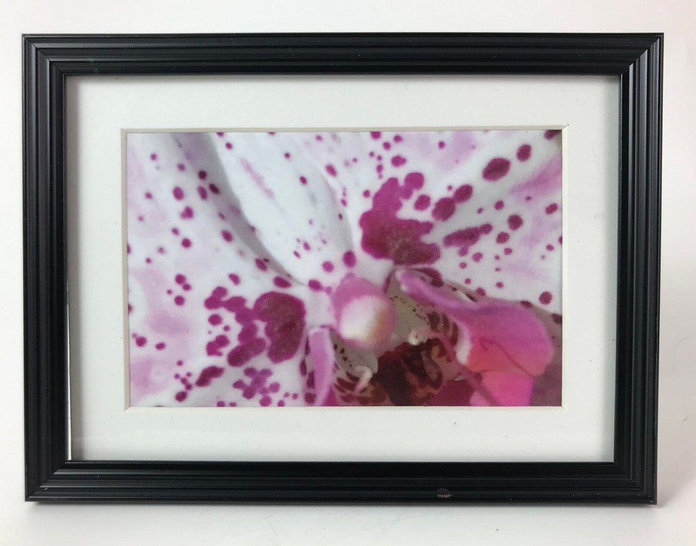 ORCHARD WORLD III, 4×6 » MATTED AND FRAMED PHOTO PRINT, READY TO HANG