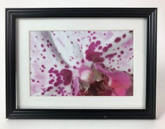 ORCHARD WORLD III, 4×6 » MATTED AND FRAMED PHOTO PRINT, READY TO HANG