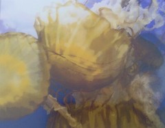 Eric Reese Photography Jellyfish 2007 signed fine print Whitefish MT 7.5″ x 9.5″