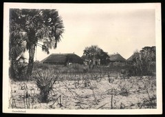 Photograph Owamboland – German South West Africa / Namibia, Village of the Natives