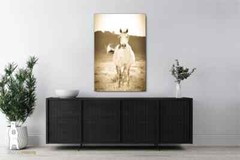 Wild Horse Photography Prints – Western Décor – Paper, Canvas, Metal