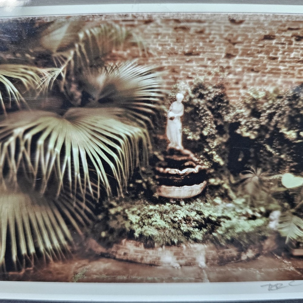 Ronnie Cardwell Courtyard Fountain Photograph Signed Print Louisiana Dreamy Palm