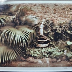 Ronnie Cardwell Courtyard Fountain Photograph Signed Print Louisiana Dreamy Palm