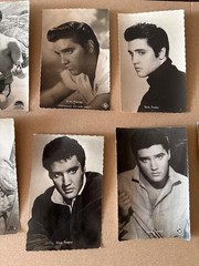7x Elvis Presley Hummingbird Photo Card Vintage The King Postcard Post Card