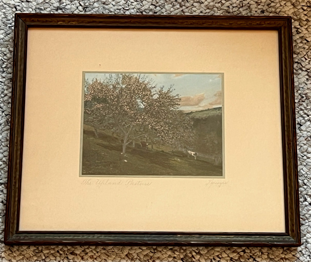 Charles Sawyer «The Upland Pasture» Cows Hand Colored Photo Nutting Peer