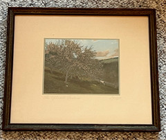Charles Sawyer «The Upland Pasture» Cows Hand Colored Photo Nutting Peer