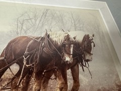 Bill Coleman Amish No. 11 Photograph 1/750 Farmer Draft Horse Team Plowing Field